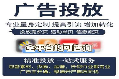 案例展示：SEM账户托管服务成果